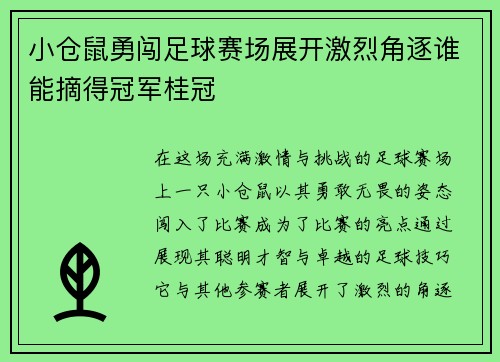 小仓鼠勇闯足球赛场展开激烈角逐谁能摘得冠军桂冠