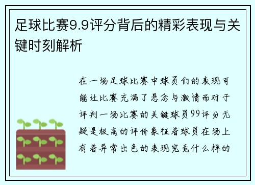 足球比赛9.9评分背后的精彩表现与关键时刻解析