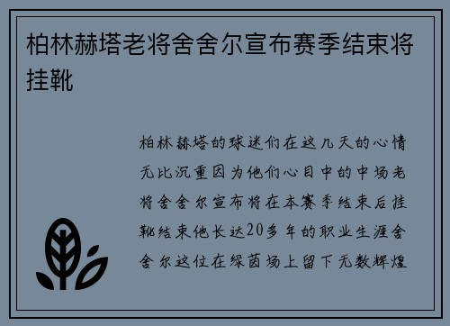 柏林赫塔老将舍舍尔宣布赛季结束将挂靴
