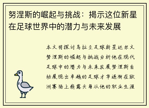 努涅斯的崛起与挑战：揭示这位新星在足球世界中的潜力与未来发展