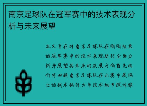 南京足球队在冠军赛中的技术表现分析与未来展望