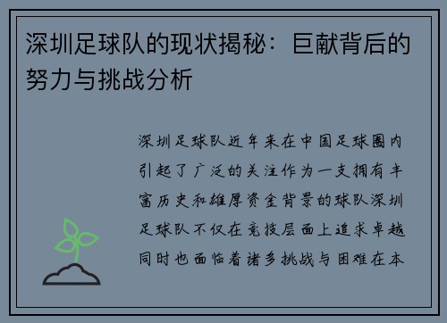 深圳足球队的现状揭秘：巨献背后的努力与挑战分析